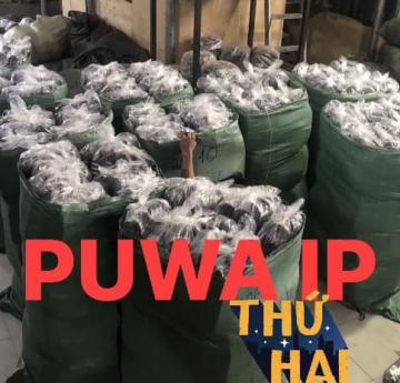 HÌNH ẢNH HOẠT ĐỘNG