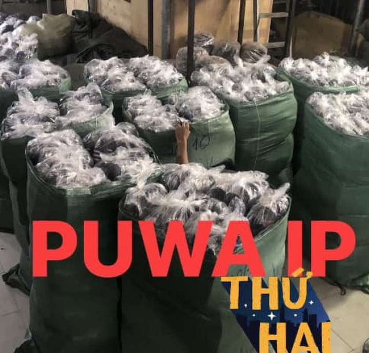 Hình Ảnh Nhân Viên Đang Làm Tại Xưởng